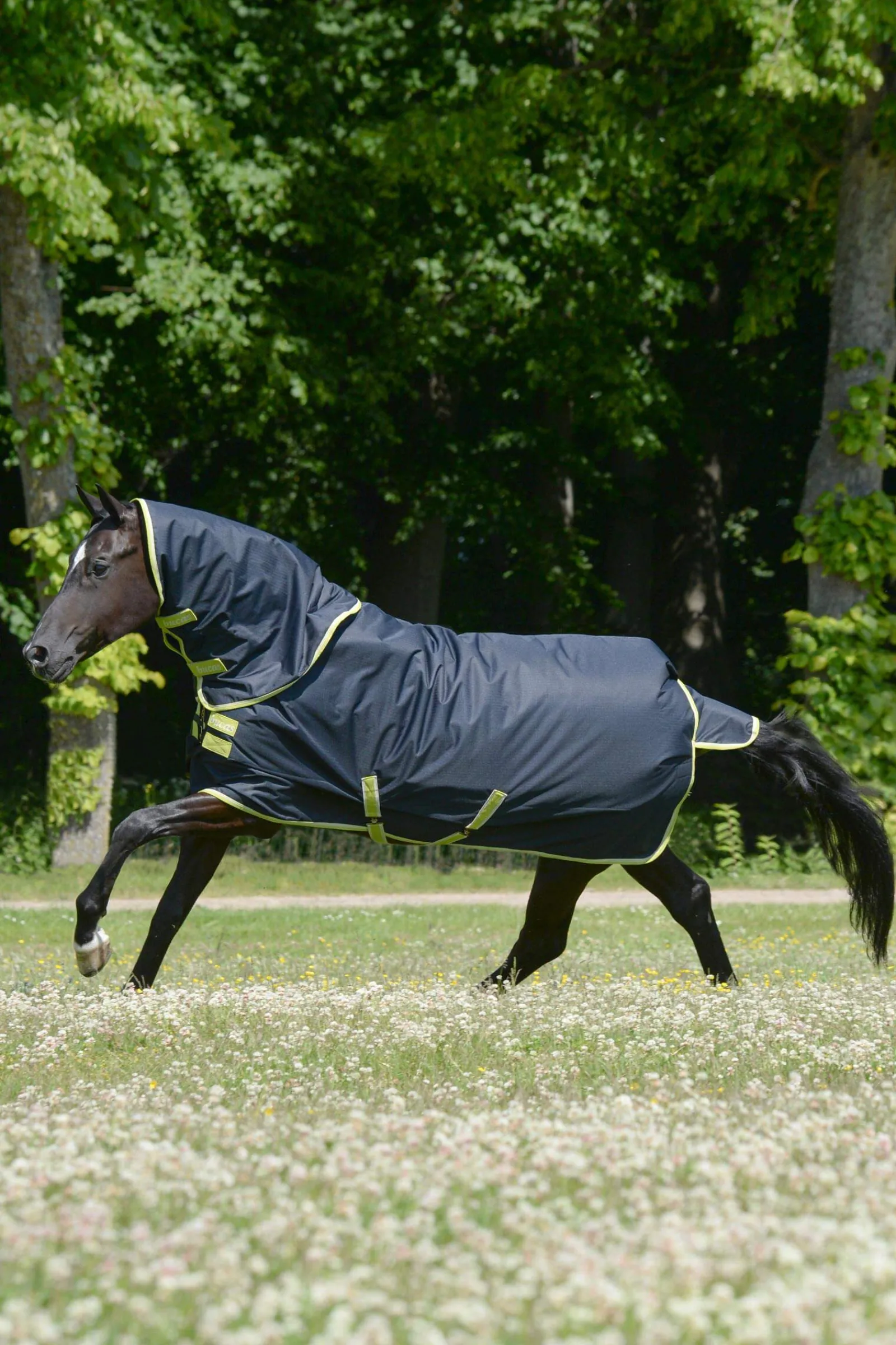 Best Oasis Turnout + Neck Set, 100g Lightweight Turnout Rugs