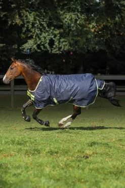 Best Oasis Turnout + Neck Set, 100g Lightweight Turnout Rugs