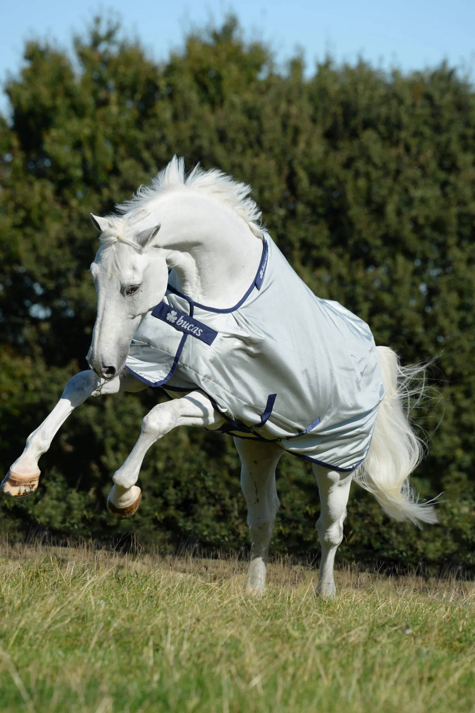 Sale Power Turnout Light, 0g Lightweight Turnout Rugs