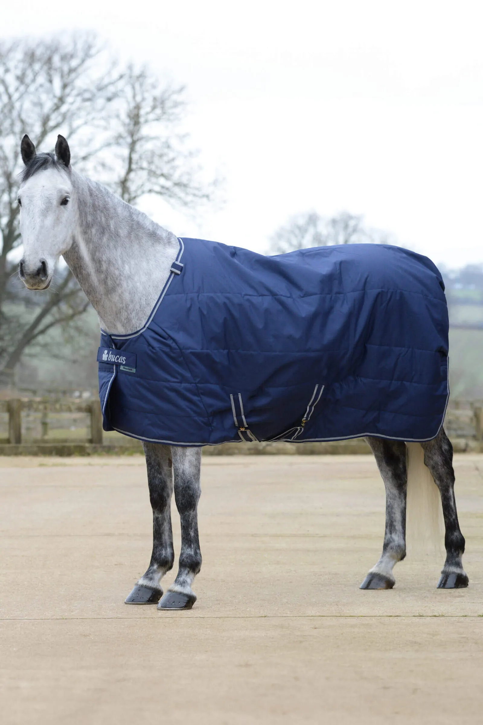 Sale Quilt Stay-dry, 150g Stable Rugs & Liners