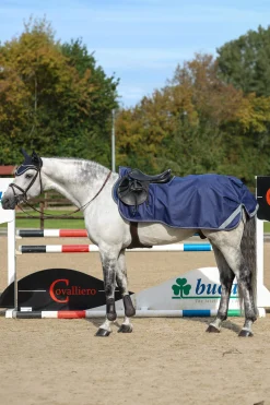 Fashion Riding Rug Exercise Sheets & Quarter Sheets