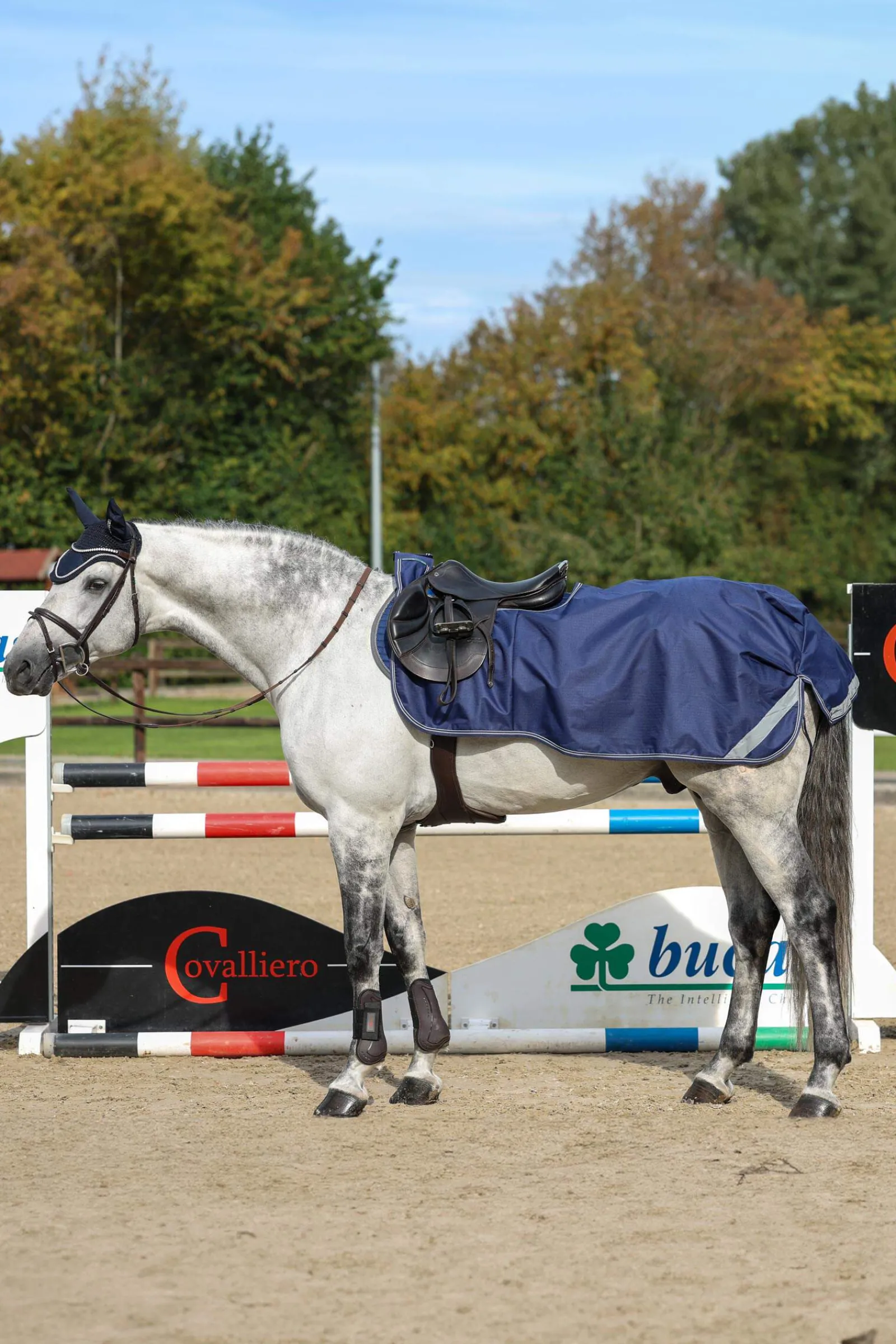 Fashion Riding Rug Exercise Sheets & Quarter Sheets