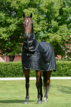 Best Shamrock Power Rug with Full Neck Fleece Horse Rugs & Cooler Rugs