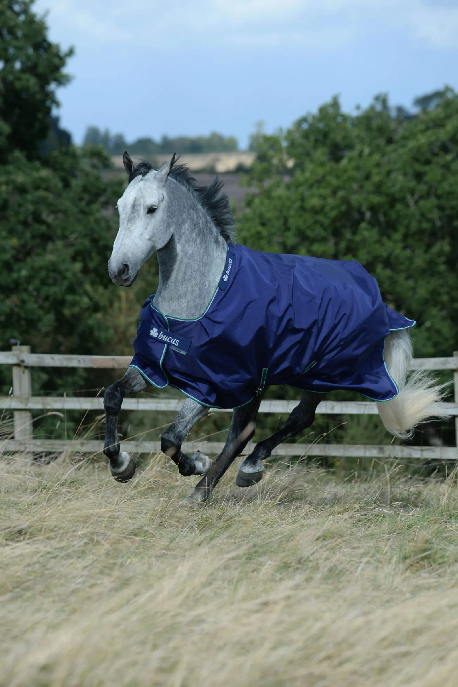 Fashion Smartex Medium Turnout Rug, 150g Medium & Heavyweight Turnout Rugs