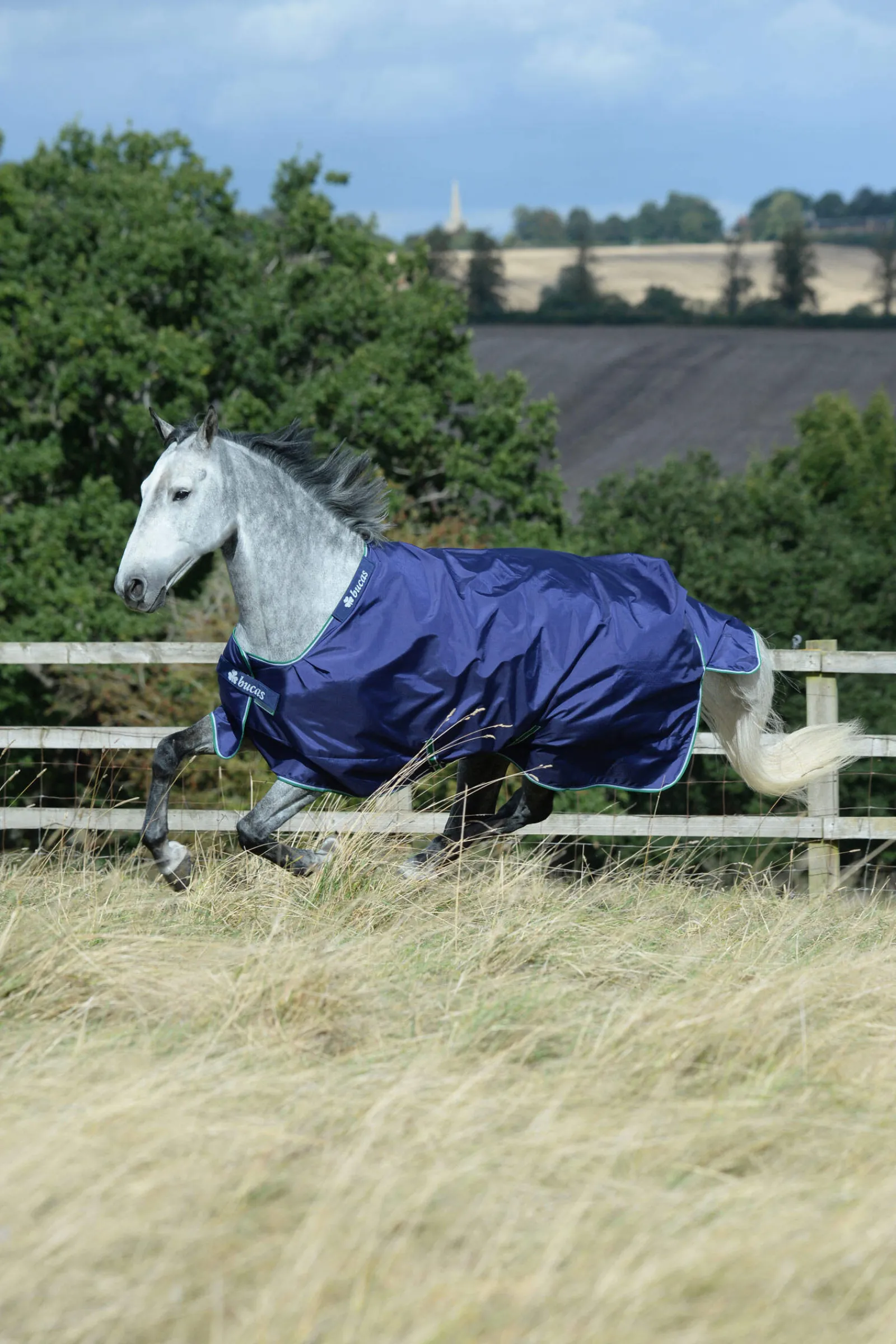 Fashion Smartex Medium Turnout Rug, 150g Medium & Heavyweight Turnout Rugs