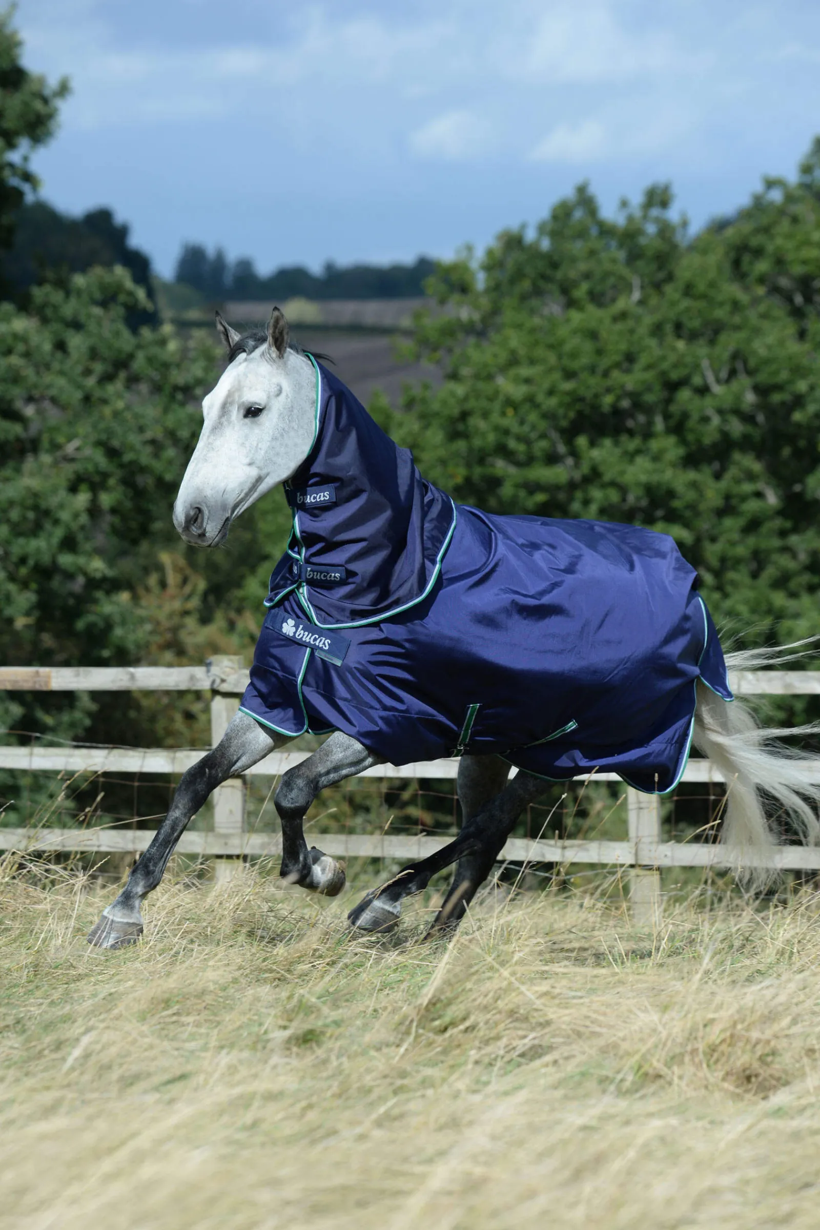 Fashion Smartex Medium Turnout Rug, 150g Medium & Heavyweight Turnout Rugs