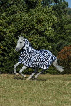 Clearance Sweet-Itch Zebra Rug with Fixed Neck Fly Rugs|Fly Rugs