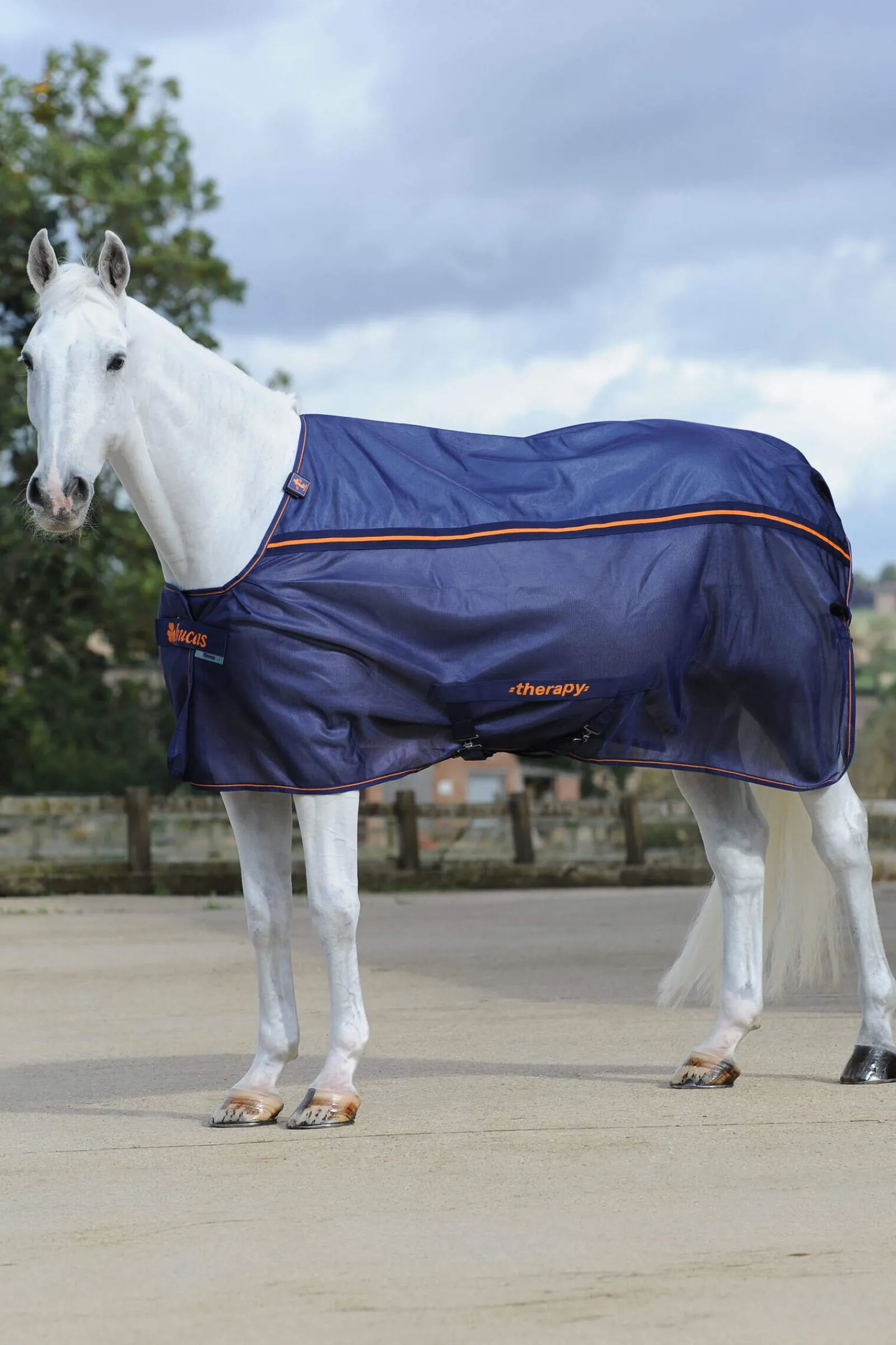 Discount Therapy Mesh Cooler Rug Therapy Rugs