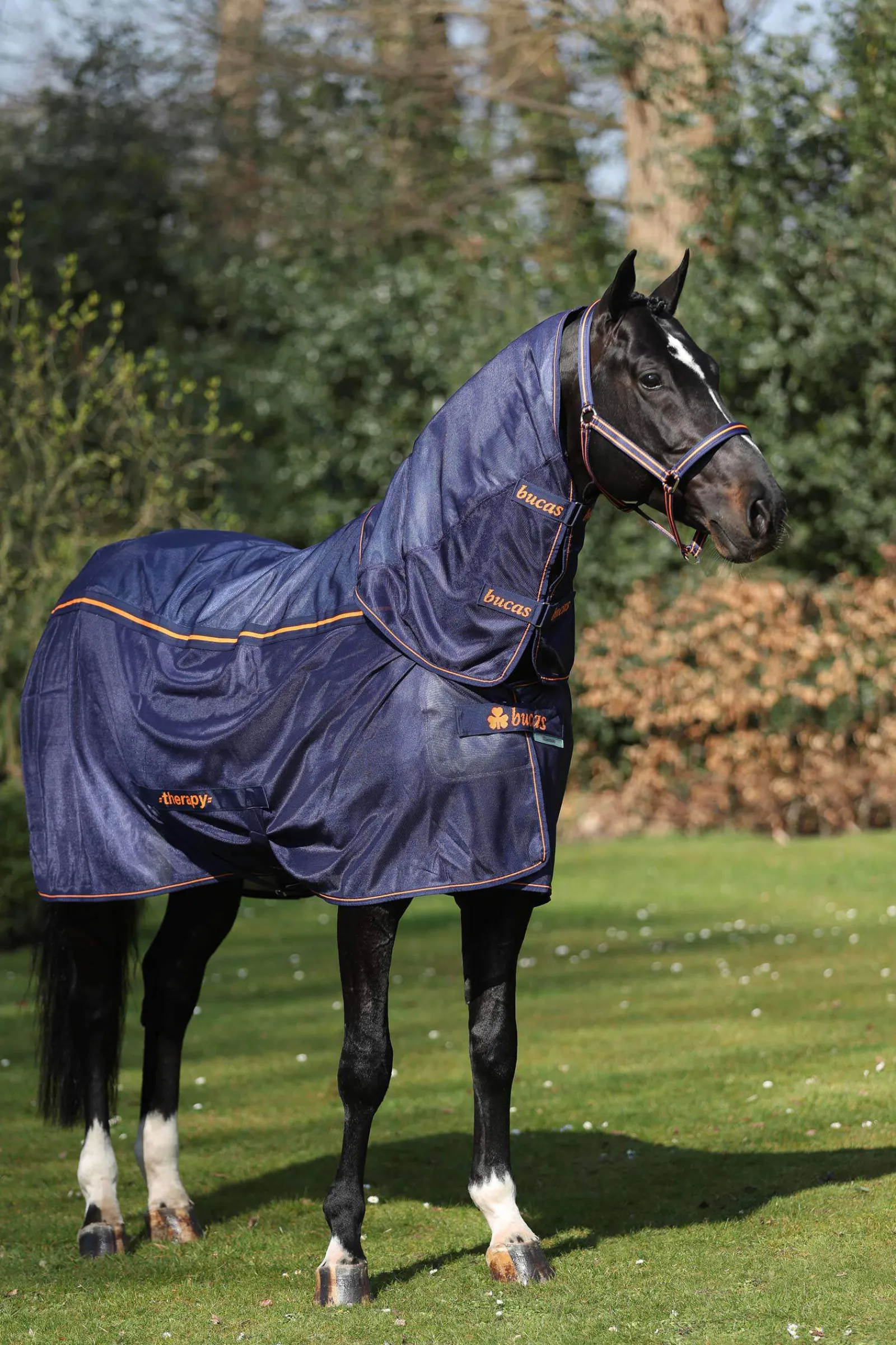 Discount Therapy Mesh Cooler Rug Therapy Rugs