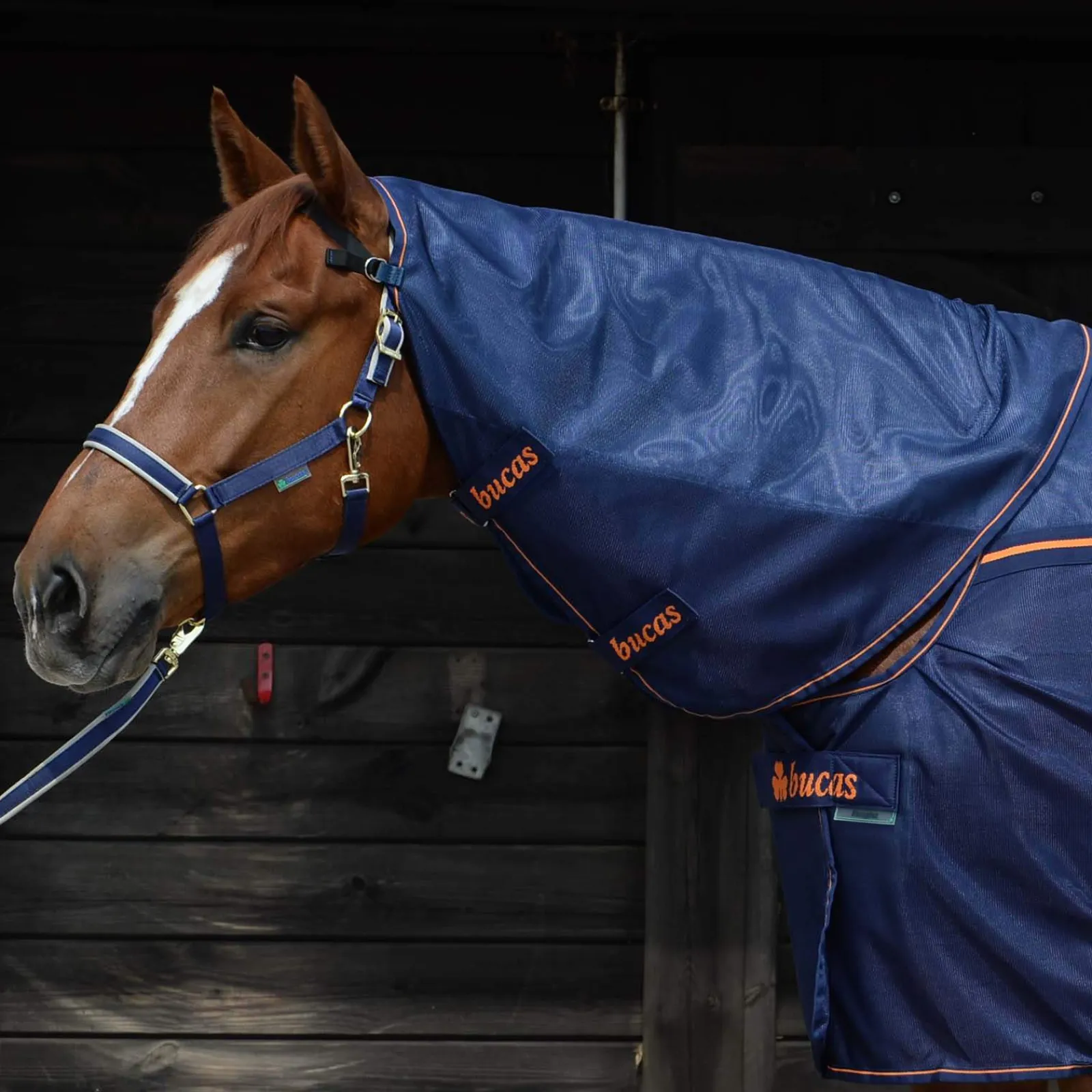 Clearance Therapy Mesh Neck Therapy Rugs