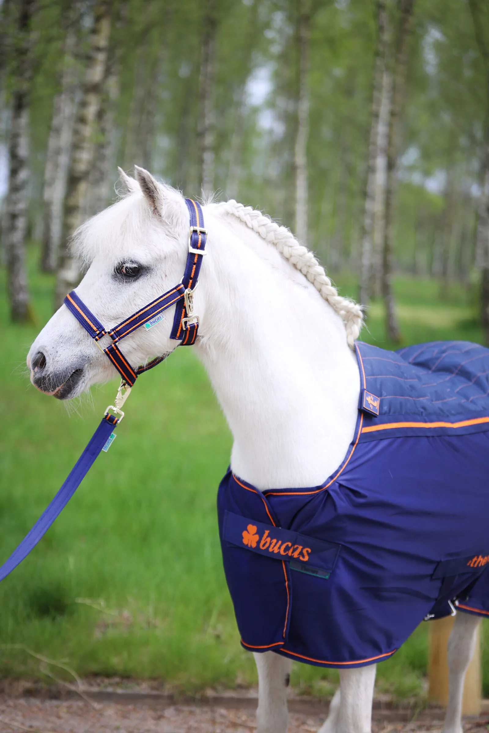 Sale Therapy Pony Cooler Rug, 0 g Therapy Rugs