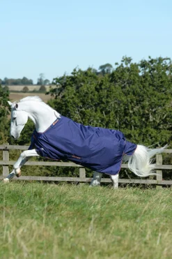 Clearance Therapy Turnout Rug Light, 50g Therapy Rugs