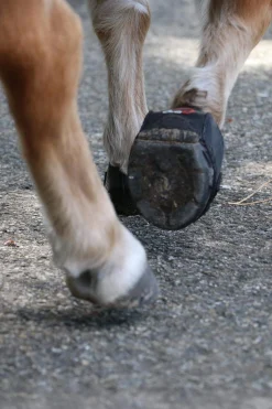 Fashion Cavallo Hoof Boots F.R.A. CLB Hoof Boots (regular/pair) Hoof Boots