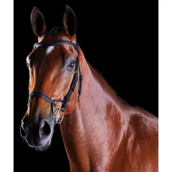 Best ComFiTec Training Bridle Pony Bridles & Halters|Bridles & Nosebands