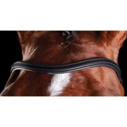 Best ComFiTec Training Bridle Pony Bridles & Halters|Bridles & Nosebands