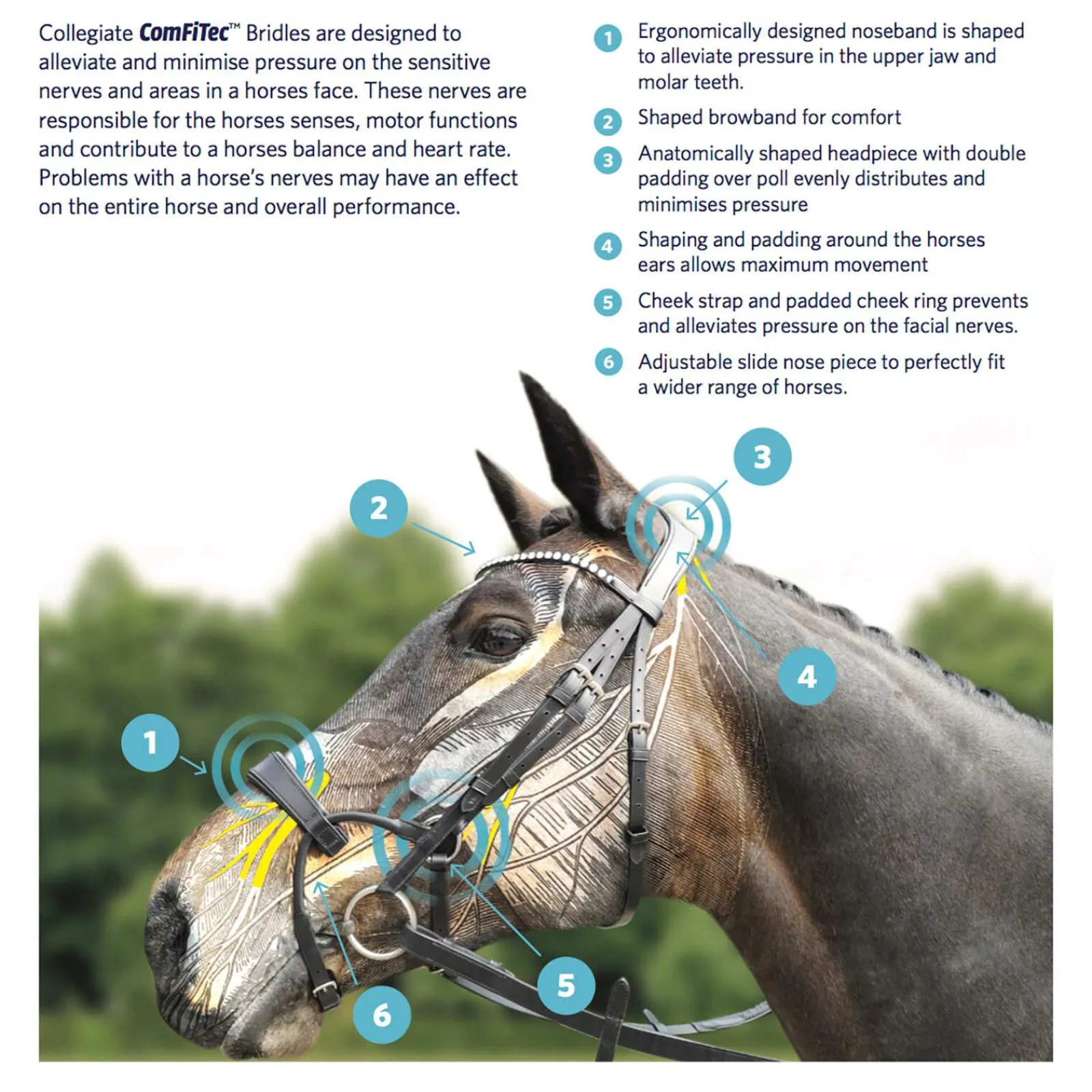 Best ComFiTec Training Bridle Pony Bridles & Halters|Bridles & Nosebands