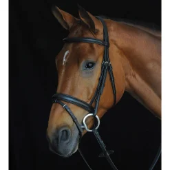 Hot Comfort Crown Padded Raised Flash Bridle Pony Bridles & Halters|Bridles & Nosebands