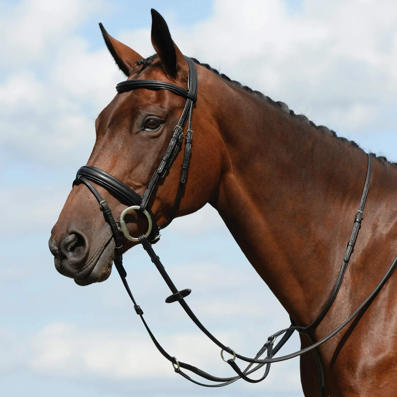 Fashion Syntovia+ Plain Flat Running Martingale Auxiliary Reins & Lunging Aids|Auxiliary Reins & Lunging Aids