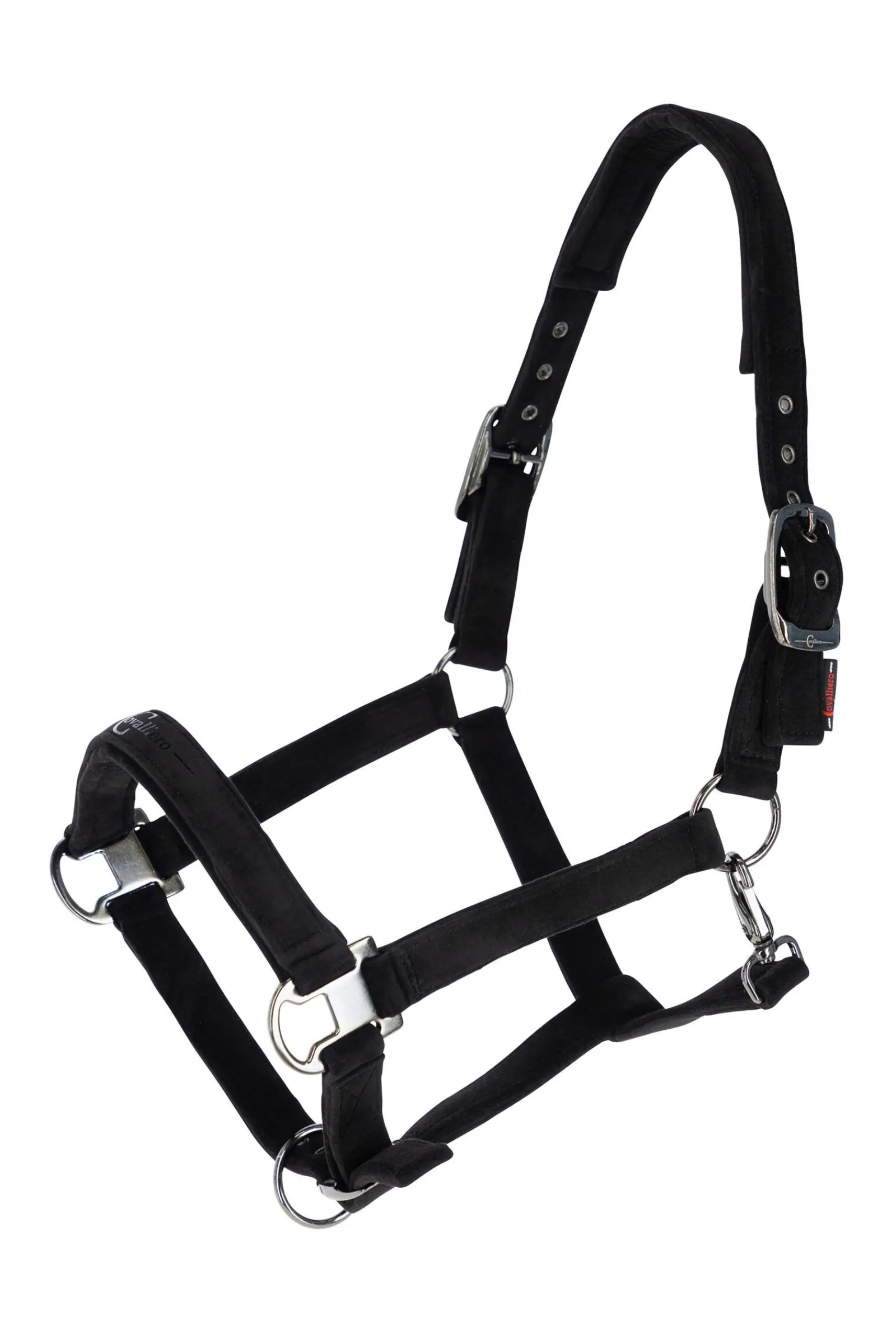 Hot Halter Headcollars & Halters