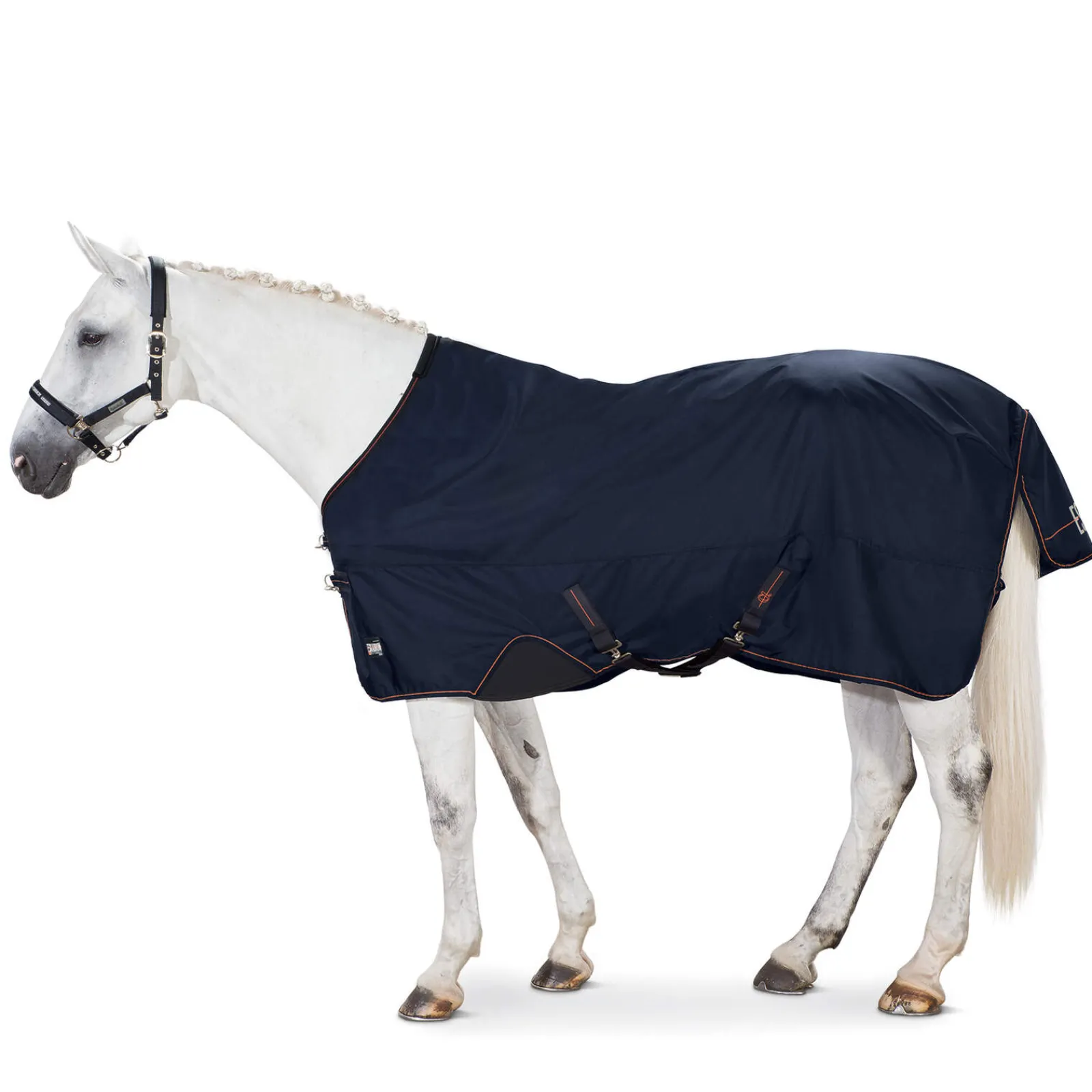 Clearance Alpha Turnout Rug, 50 g Lightweight Turnout Rugs