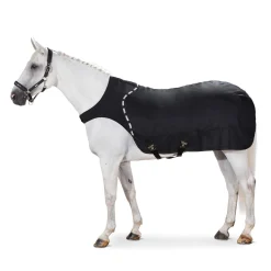 Online Delta Walker Rug, 300g Medium & Heavyweight Turnout Rugs