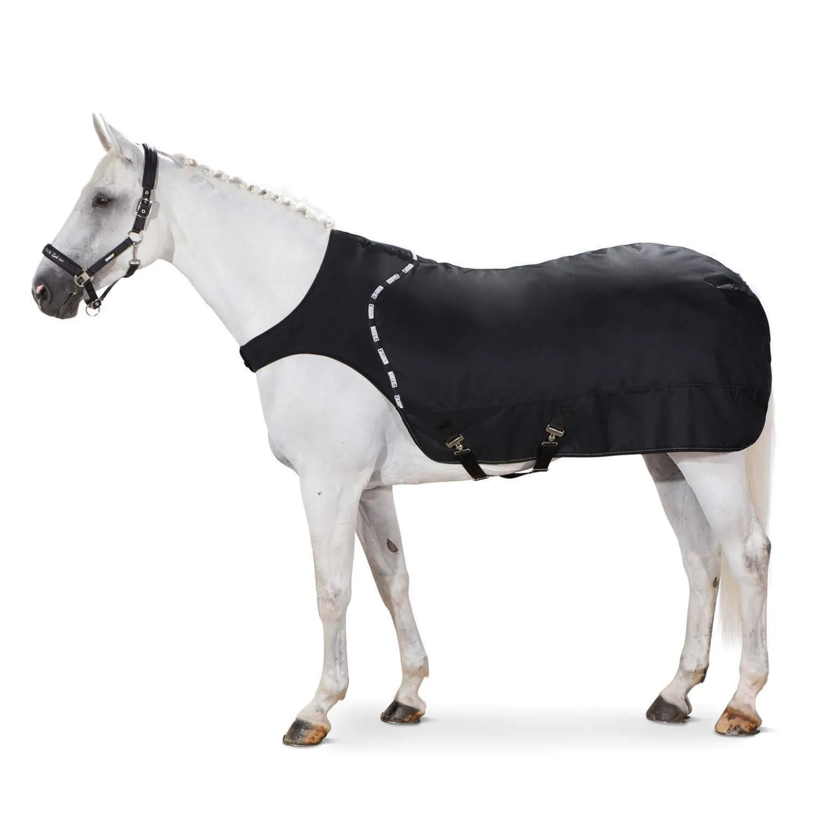Online Delta Walker Rug, 300g Medium & Heavyweight Turnout Rugs