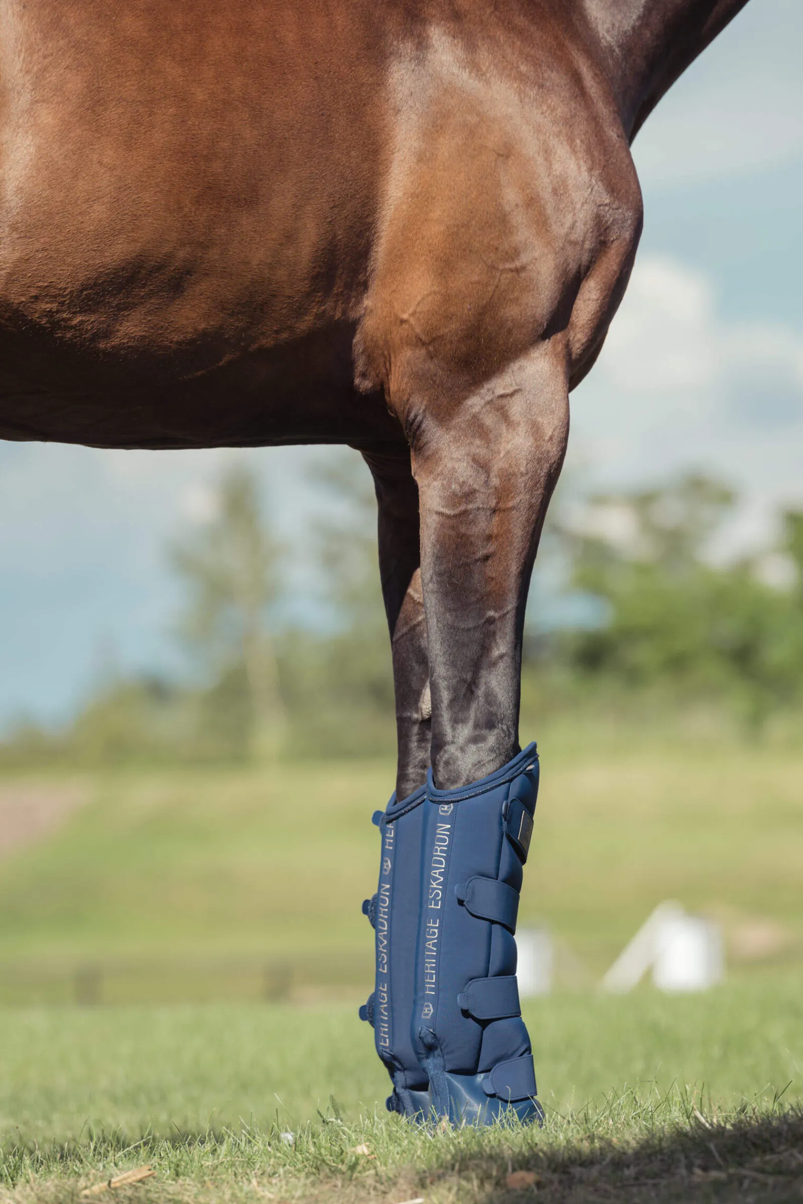 New Heritage AW24 Softshell Travelling Boots Horse Boots