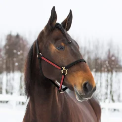New Pro Synthetic Yankee Nylon Halter Headcollars & Halters
