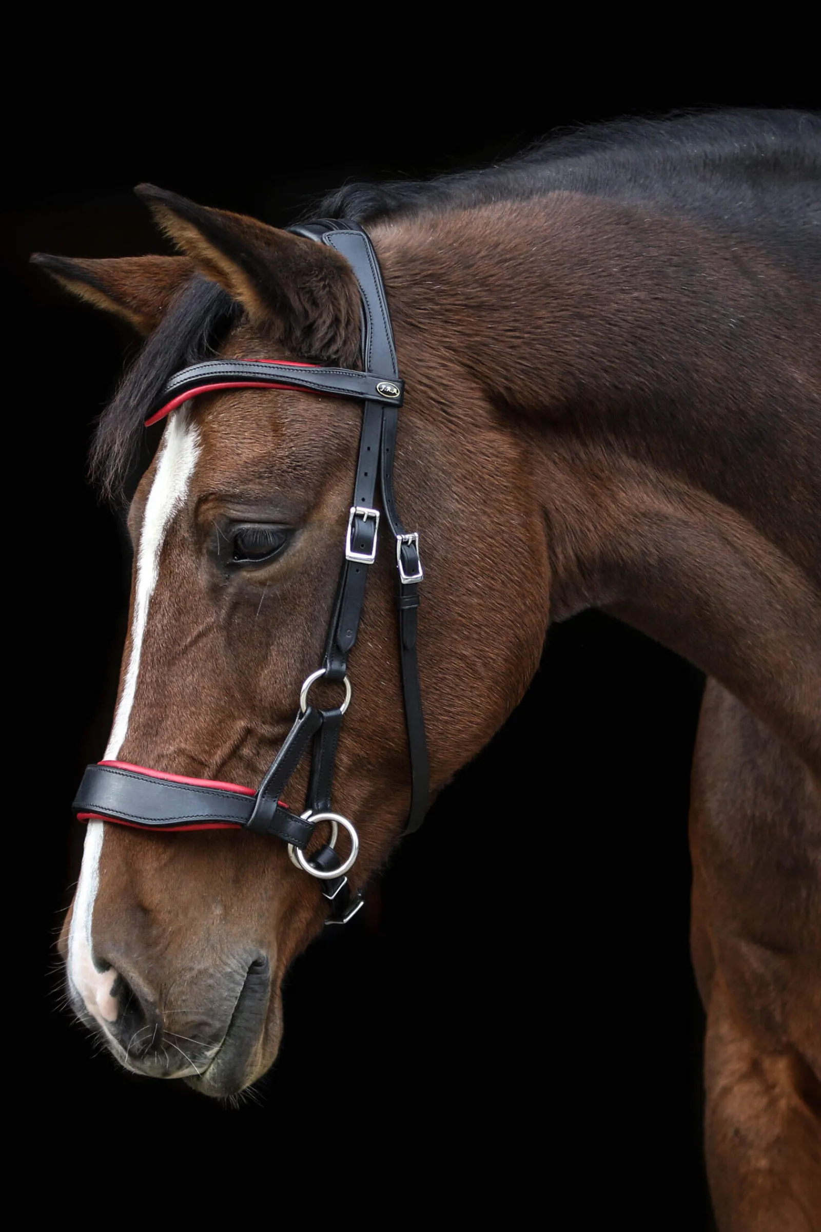 Discount F.R.A. Freedom Riding Articles Aruba Bitless Bridle With Reins (System 3) Bridles & Nosebands