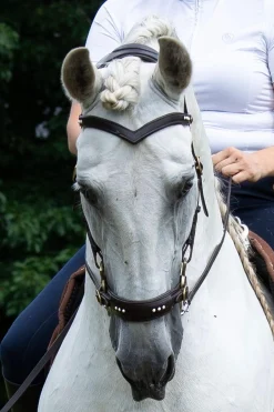 Outlet F.R.A. Freedom Riding Articles Glory Hackamore Bridle With Reins (System 2), Hackamores|Bridles & Nosebands