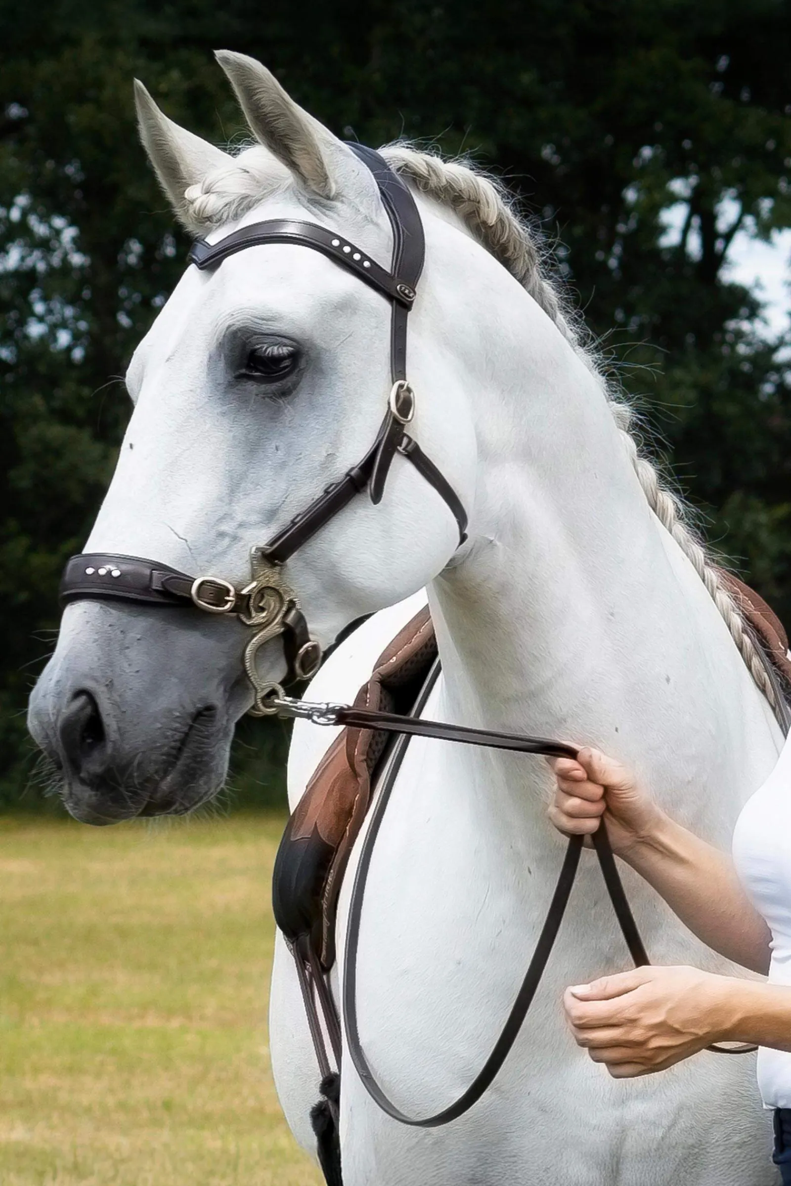 Outlet F.R.A. Freedom Riding Articles Glory Hackamore Bridle With Reins (System 2), Hackamores|Bridles & Nosebands