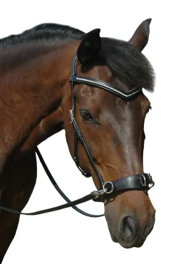 Online F.R.A. Freedom Riding Articles Wendy B Cavesson, Bitless Bridle, Leather Reins w/ Clip Auxiliary Reins & Lunging Aids|Auxiliary Reins & Lunging Aids