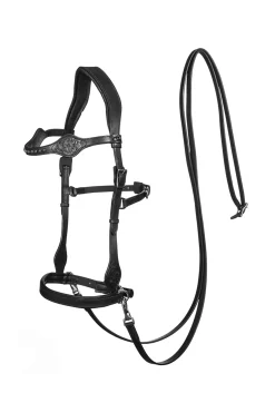 Fashion F.R.A. Freedom Riding Articles Dandy Sidepull With Reins (System 3) Bridles & Nosebands