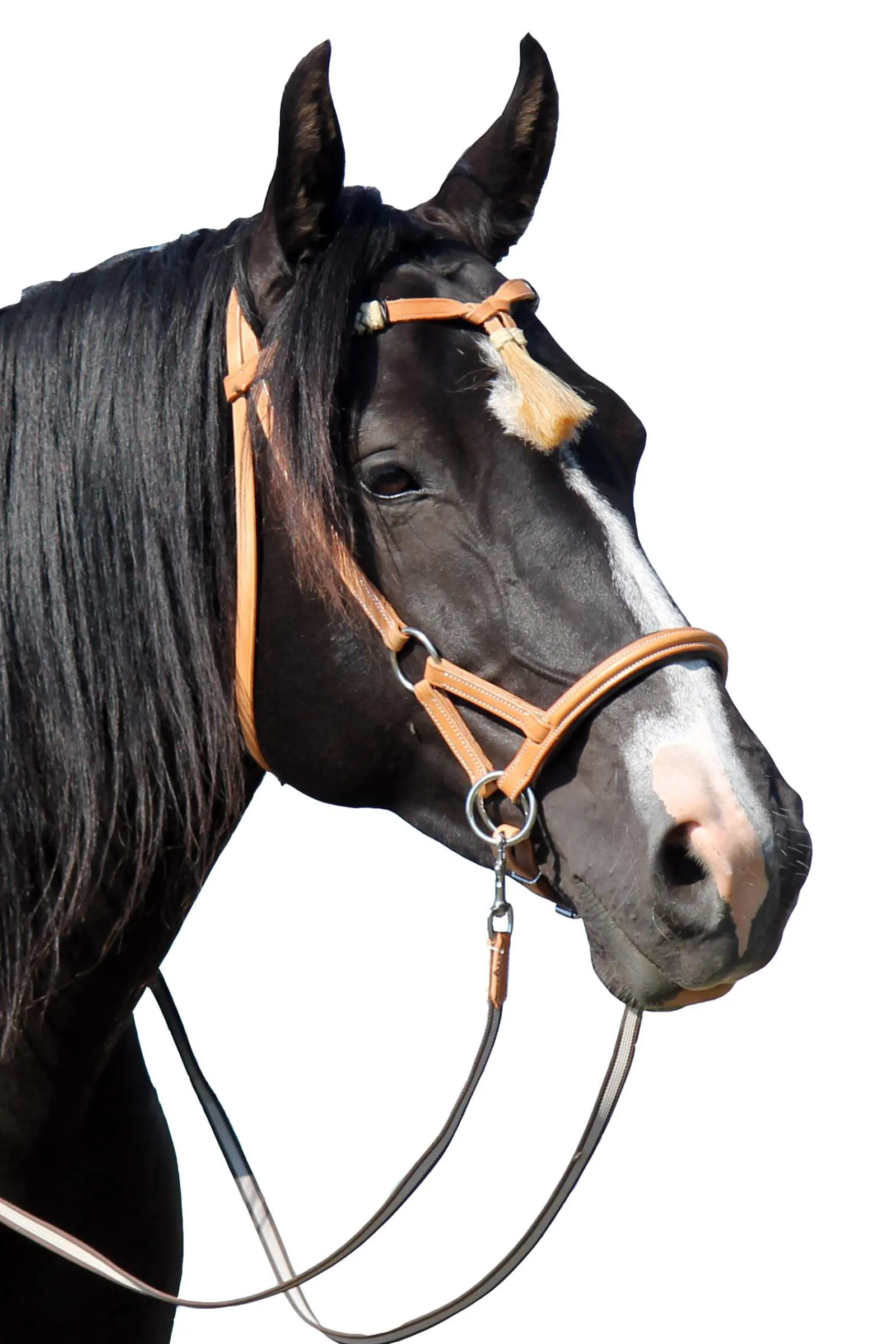Clearance F.R.A. Freedom Riding Articles Shango Sidepull (System 3) Western Look Leather Western|Bridles & Nosebands