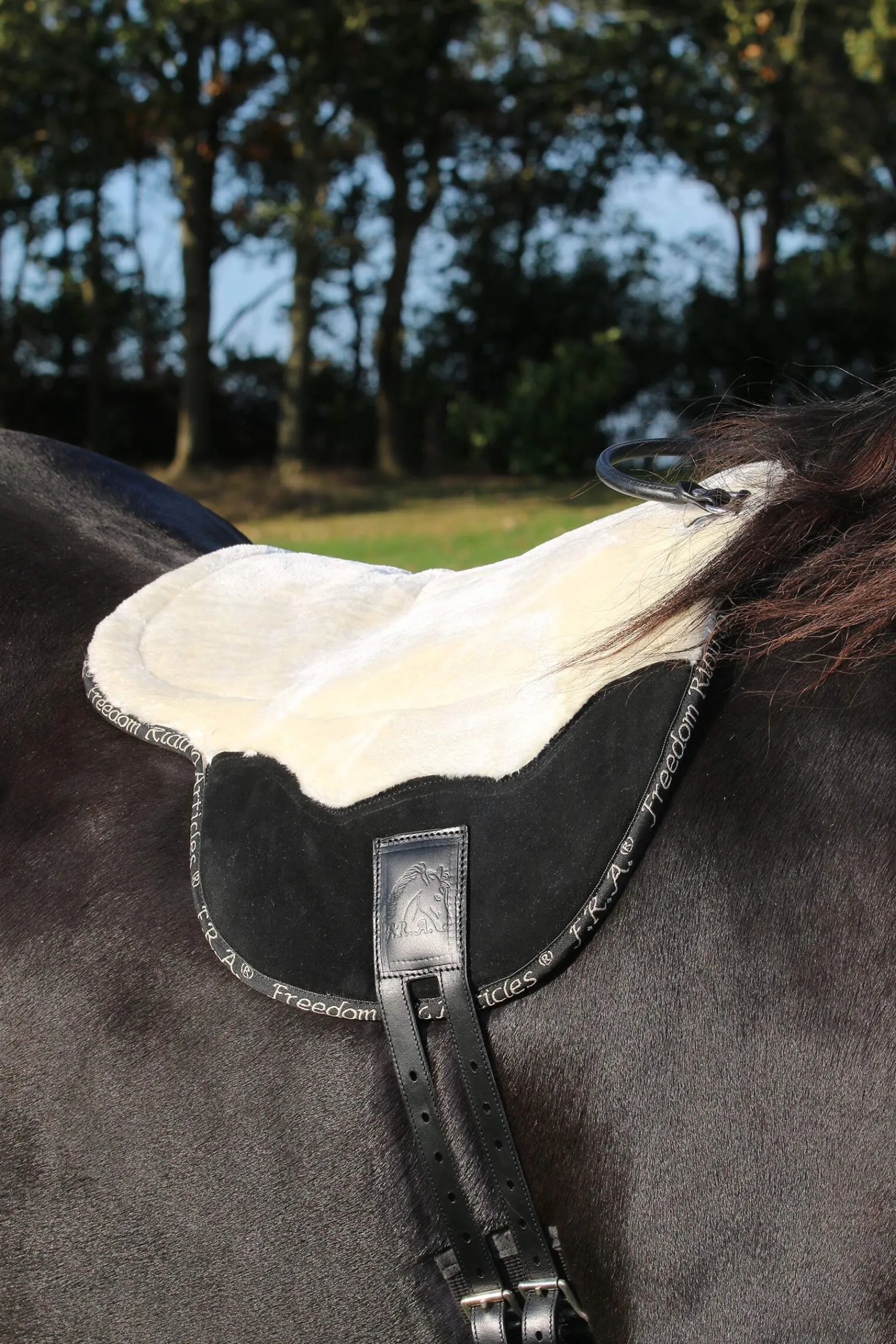 Hot F.R.A. Freedom Riding Articles Free Bareback Pad, Cob Saddles