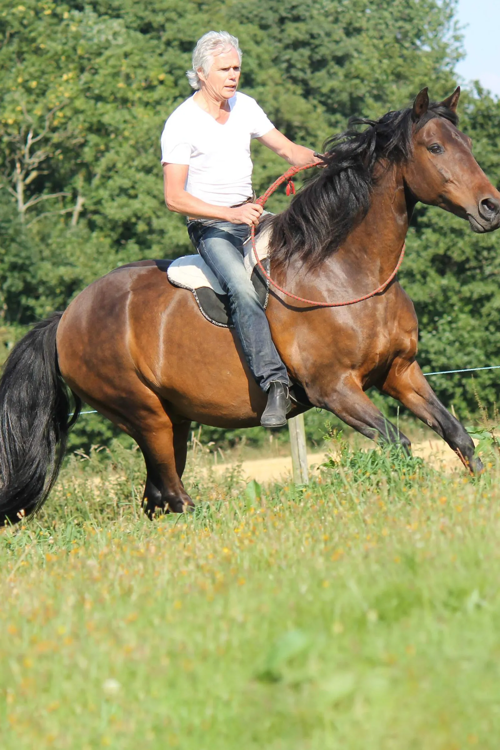 Hot F.R.A. Freedom Riding Articles Free Bareback Pad, Full Saddles