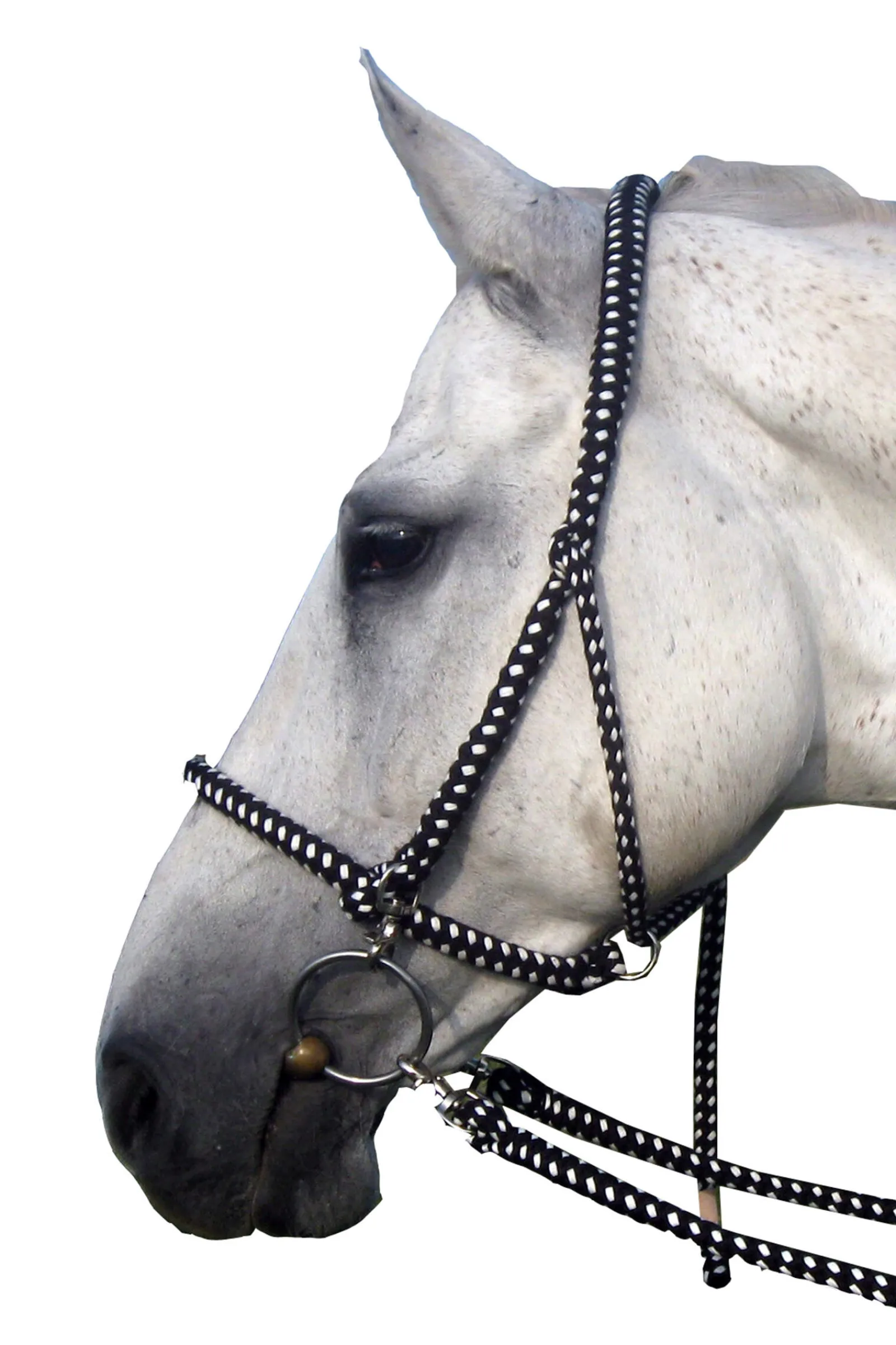 New F.R.A. Freedom Riding Articles Gregor Halter-bridle Cotton Reins Included Headcollars & Halters