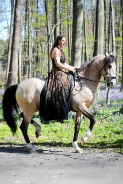 Online F.R.A. Freedom Riding Articles Imperial Hackamore Bridle With Reins (System 2) Bridles & Nosebands