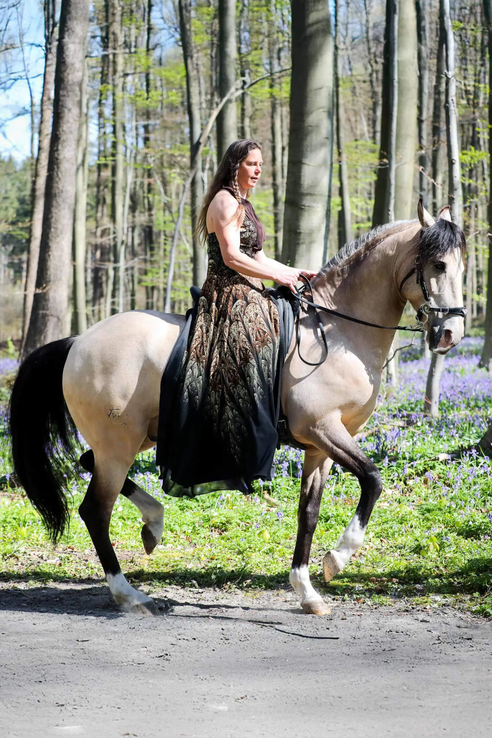 Online F.R.A. Freedom Riding Articles Imperial Hackamore Bridle With Reins (System 2) Bridles & Nosebands