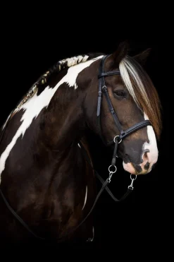 Best F.R.A. Freedom Riding Articles Dietsji Bitless Bridle With Reins (System 5) Bridles & Nosebands