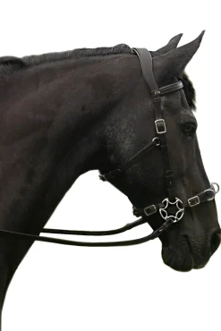 Discount F.R.A. Freedom Riding Articles Caval Compl. Cavemore Bridle English Leather (Syst.2) Shire Bridles & Nosebands
