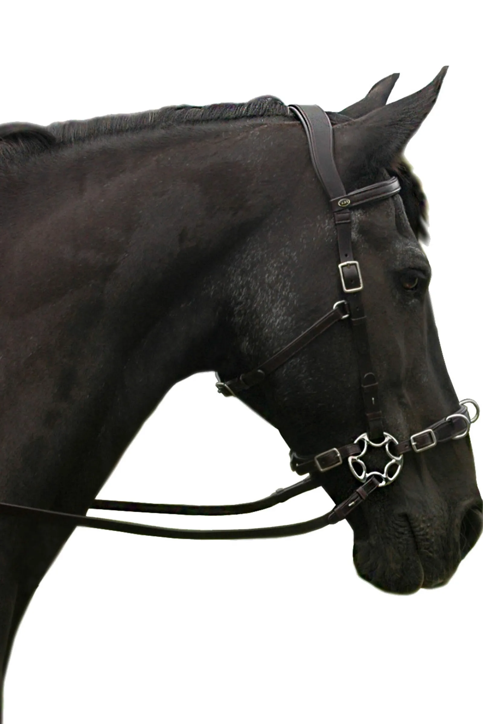 Discount F.R.A. Freedom Riding Articles Caval Compl. Cavemore Bridle English Leather (Syst.2) Shire Bridles & Nosebands