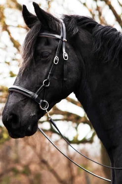 Outlet F.R.A. Freedom Riding Articles Pardoes de Luxe Sidepull With Reins (System 3) Bridles & Nosebands