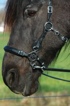 Clearance F.R.A. Freedom Riding Articles Calli Hackamore Bridle With Reins (System 2) Bridles & Nosebands