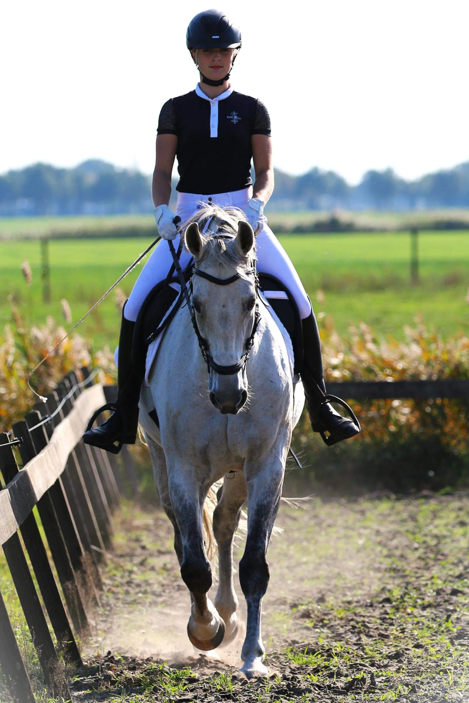 Clearance F.R.A. Freedom Riding Articles Calli Hackamore Bridle With Reins (System 2) Bridles & Nosebands