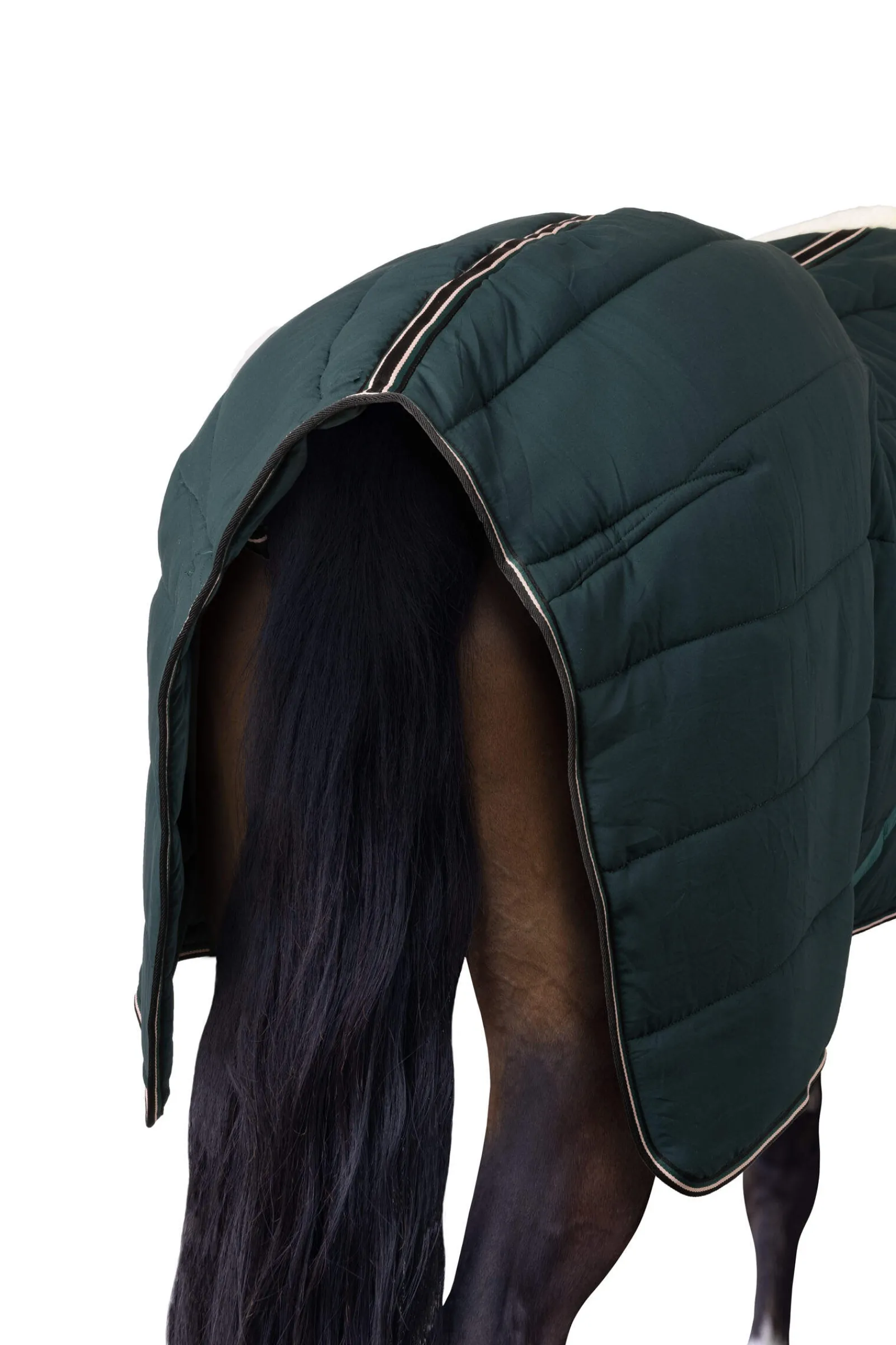 Online Glasgow pony stable rug Stable Rugs & Liners