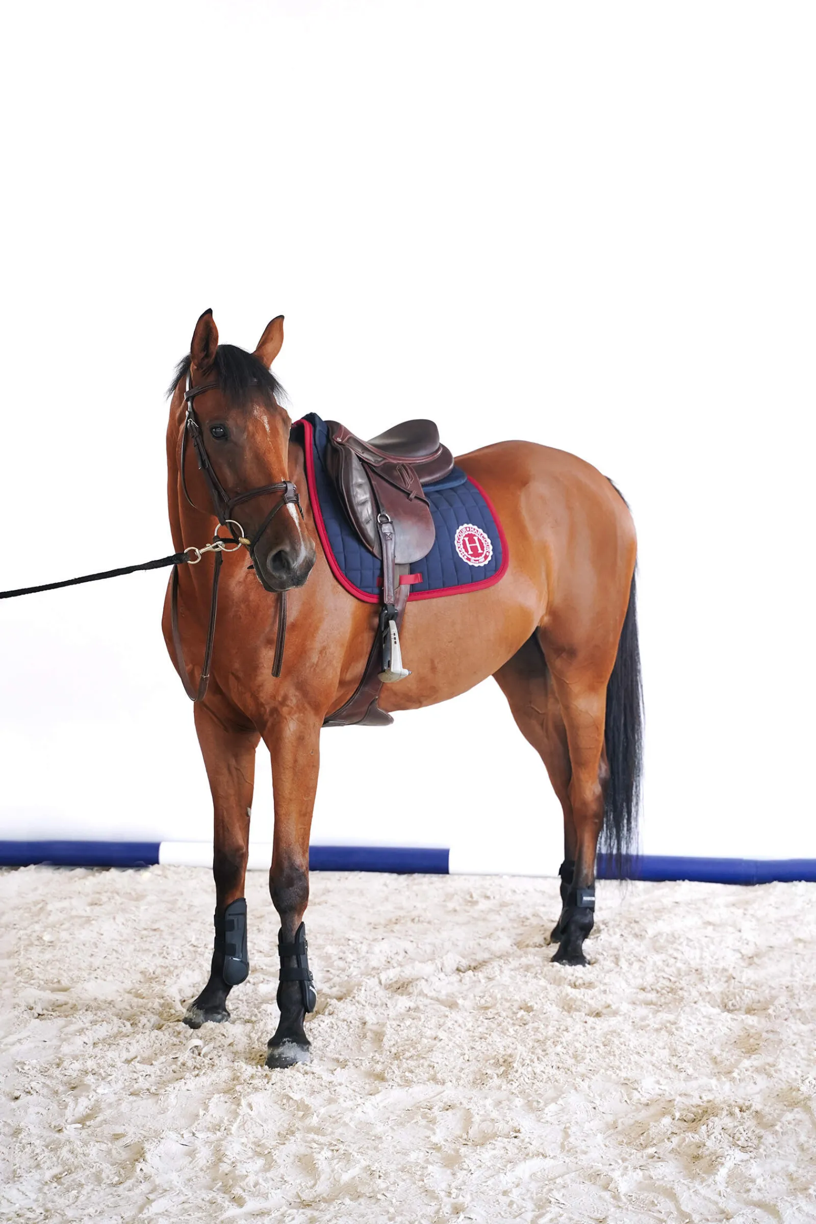 Hot Safine Dressage Saddle Pad Dressage Saddle Pads