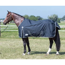 Online Harry Lightweight Turnout Rugs
