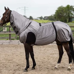 Best Harry Sweet Itch Rugs|Sweet Itch Rugs
