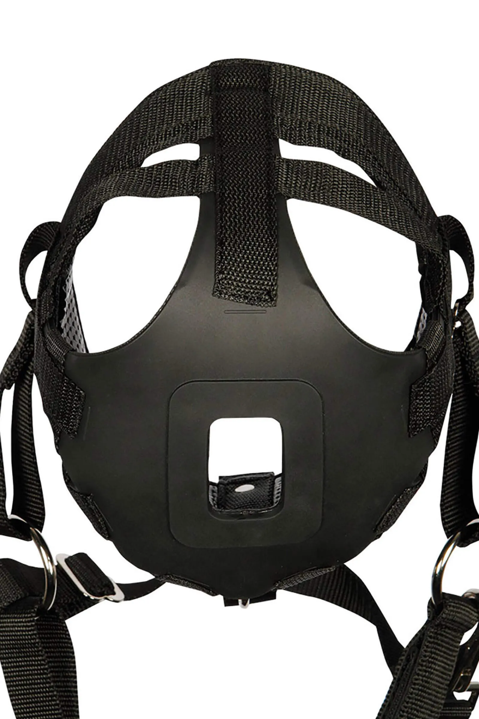 Fashion Harry Grazing Muzzles